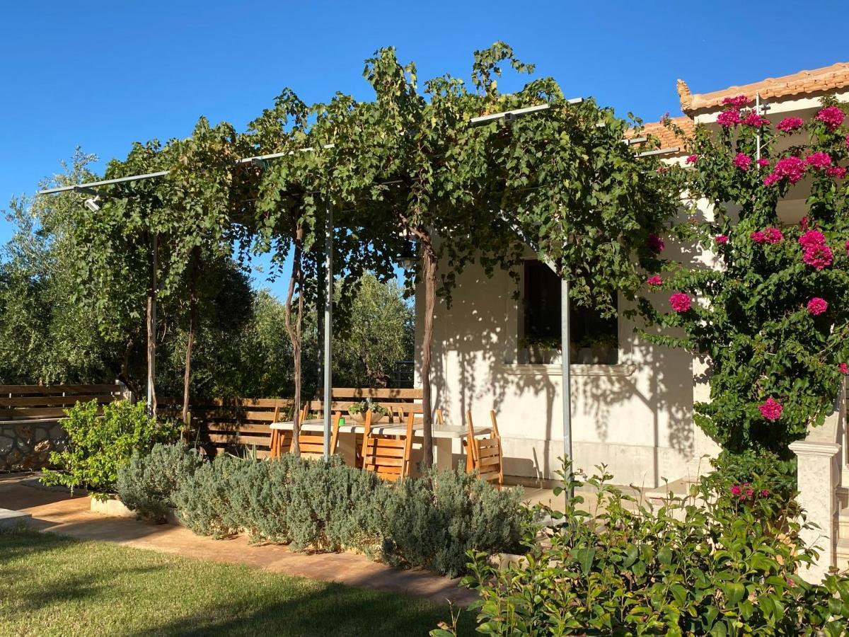 Villa Serenity Agia Marina  エクステリア 写真