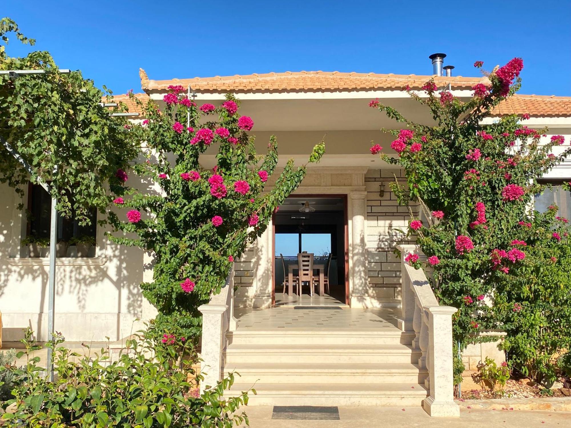 Villa Serenity Agia Marina  エクステリア 写真
