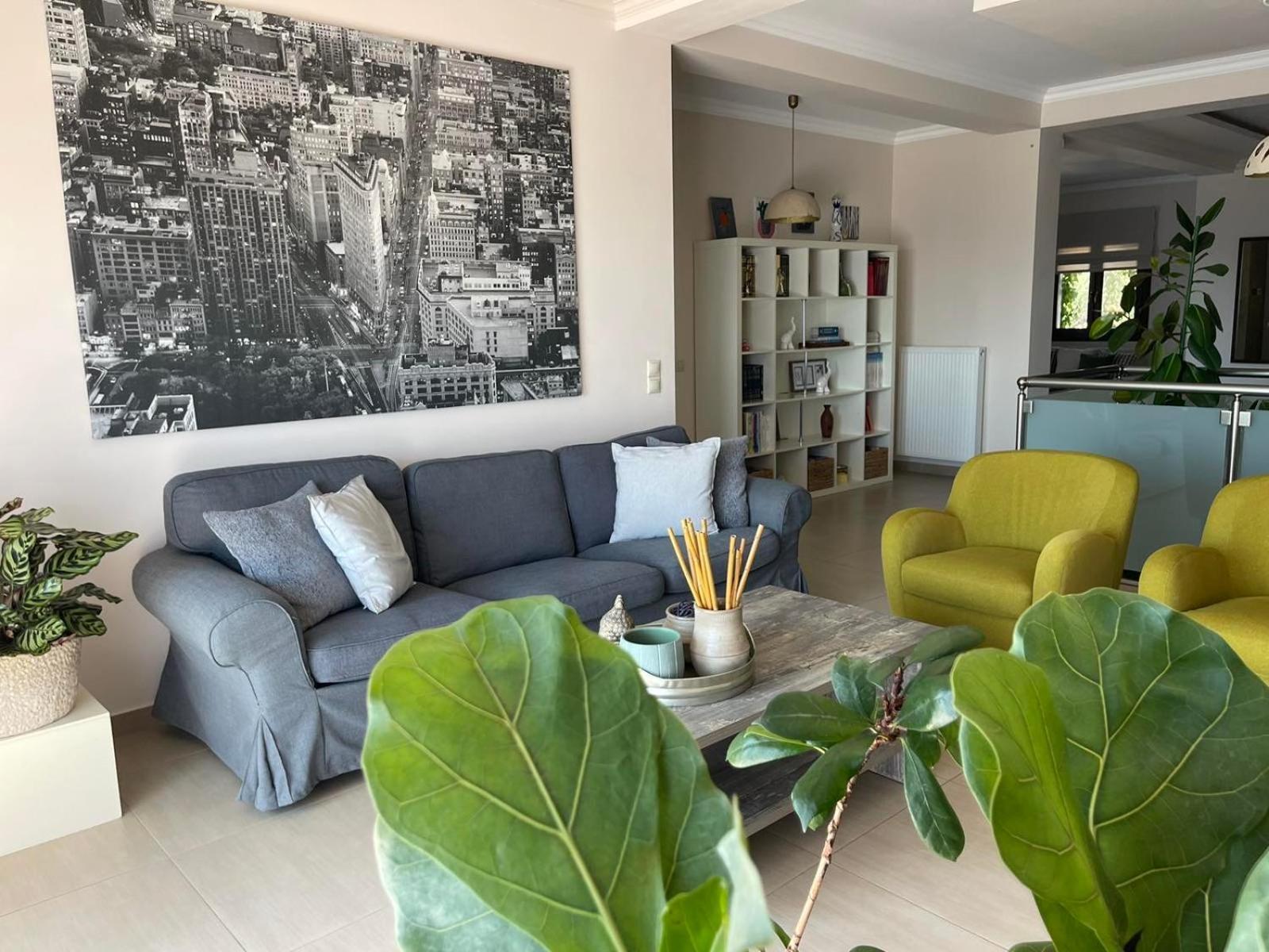 Villa Serenity Agia Marina  エクステリア 写真