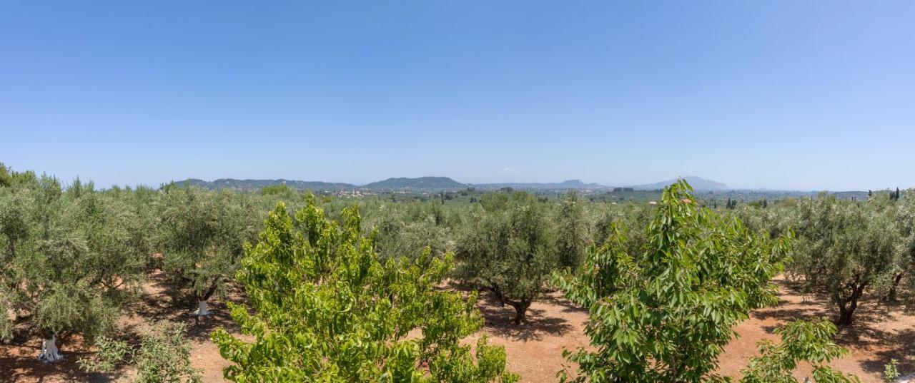 Villa Serenity Agia Marina  エクステリア 写真