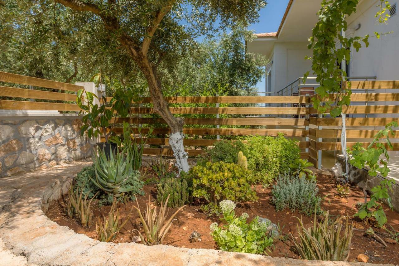 Villa Serenity Agia Marina  エクステリア 写真
