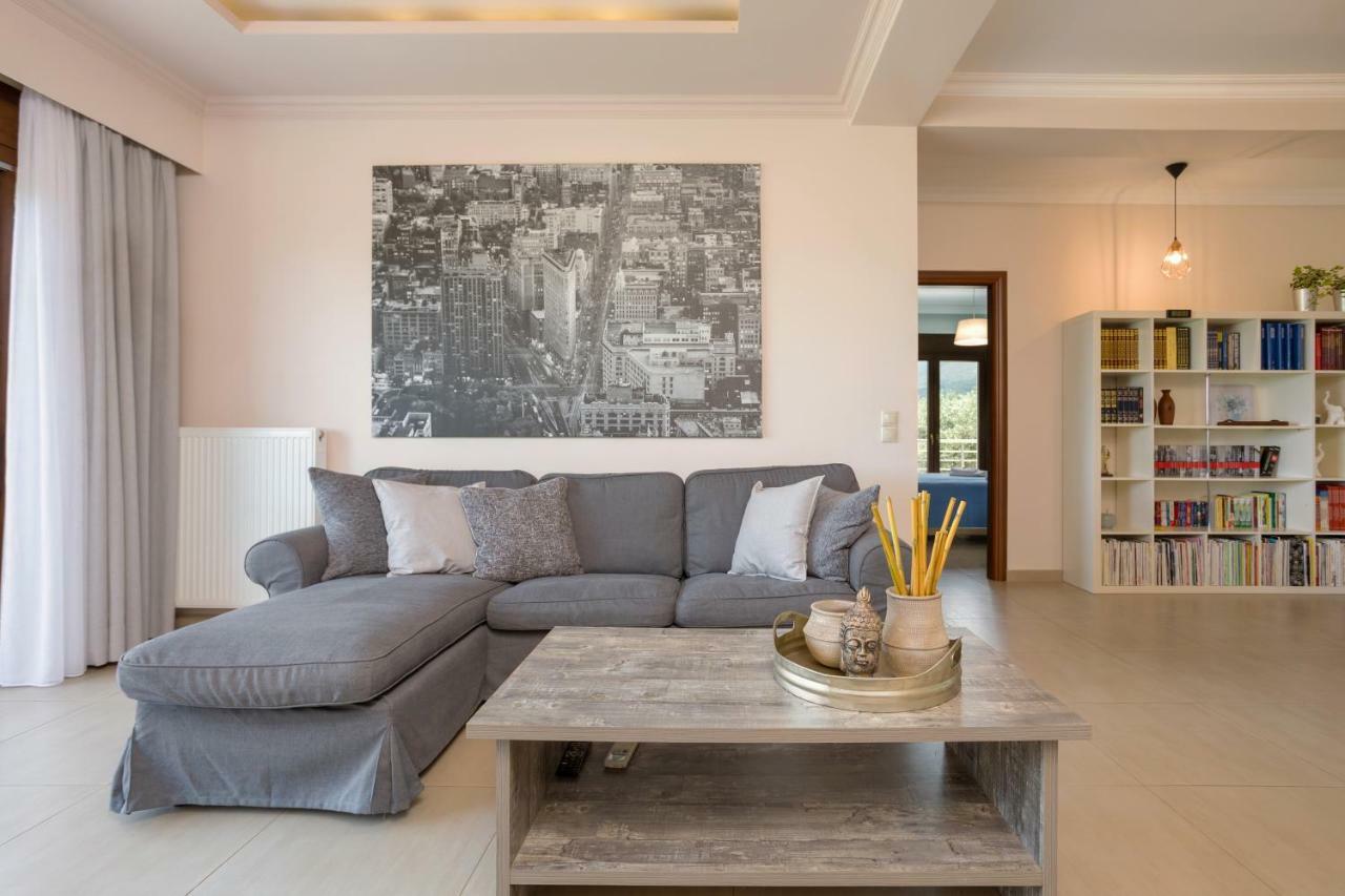 Villa Serenity Agia Marina  エクステリア 写真